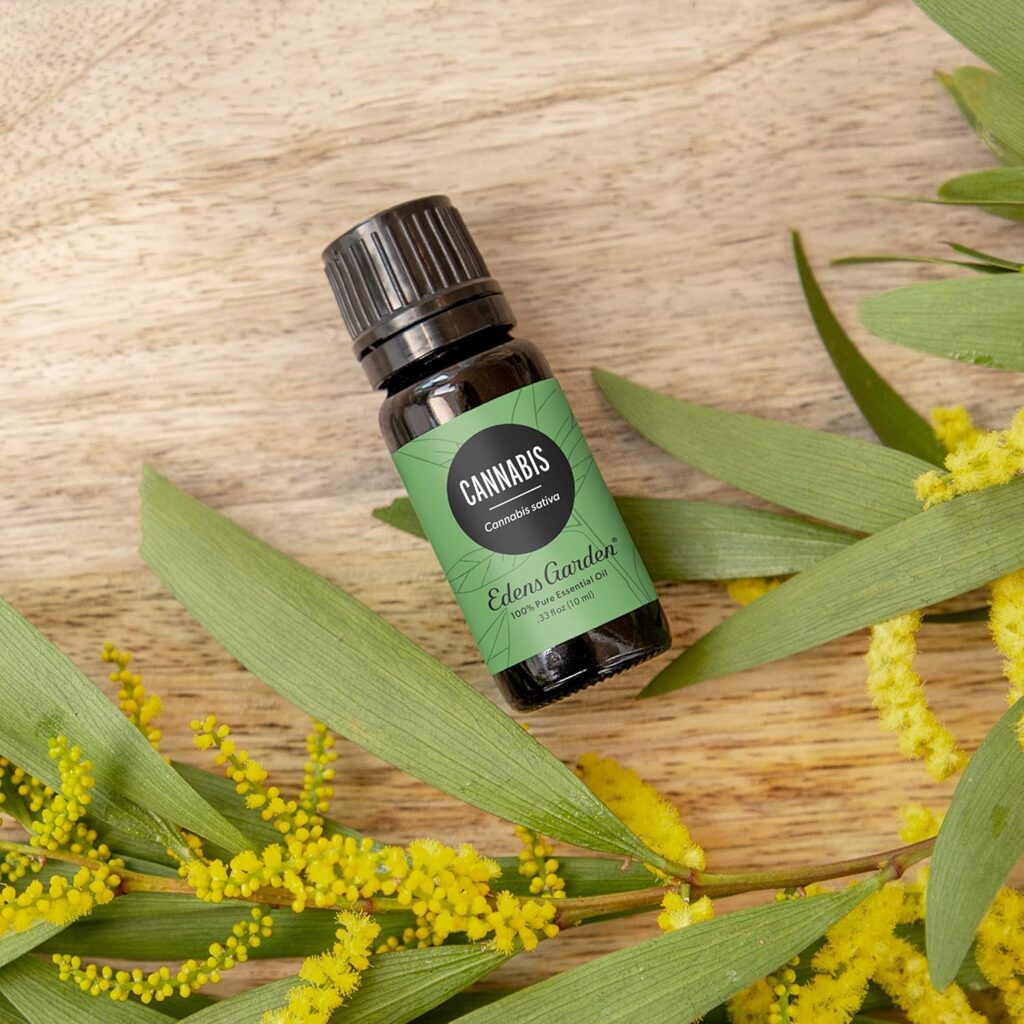 Cannabis Essential Oil for Diffuser What Actually Works in 2026