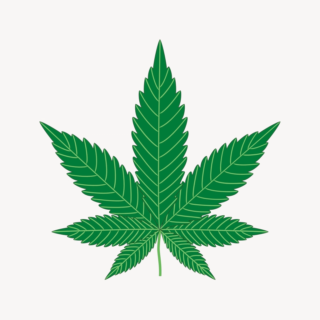 Illustration of a cannabis leaf